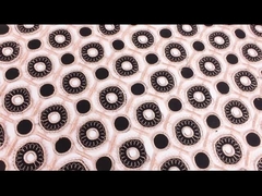 Los cordones solubles en agua comunes totales arreglan la tela del ajuste del cordón del bordado del guipur